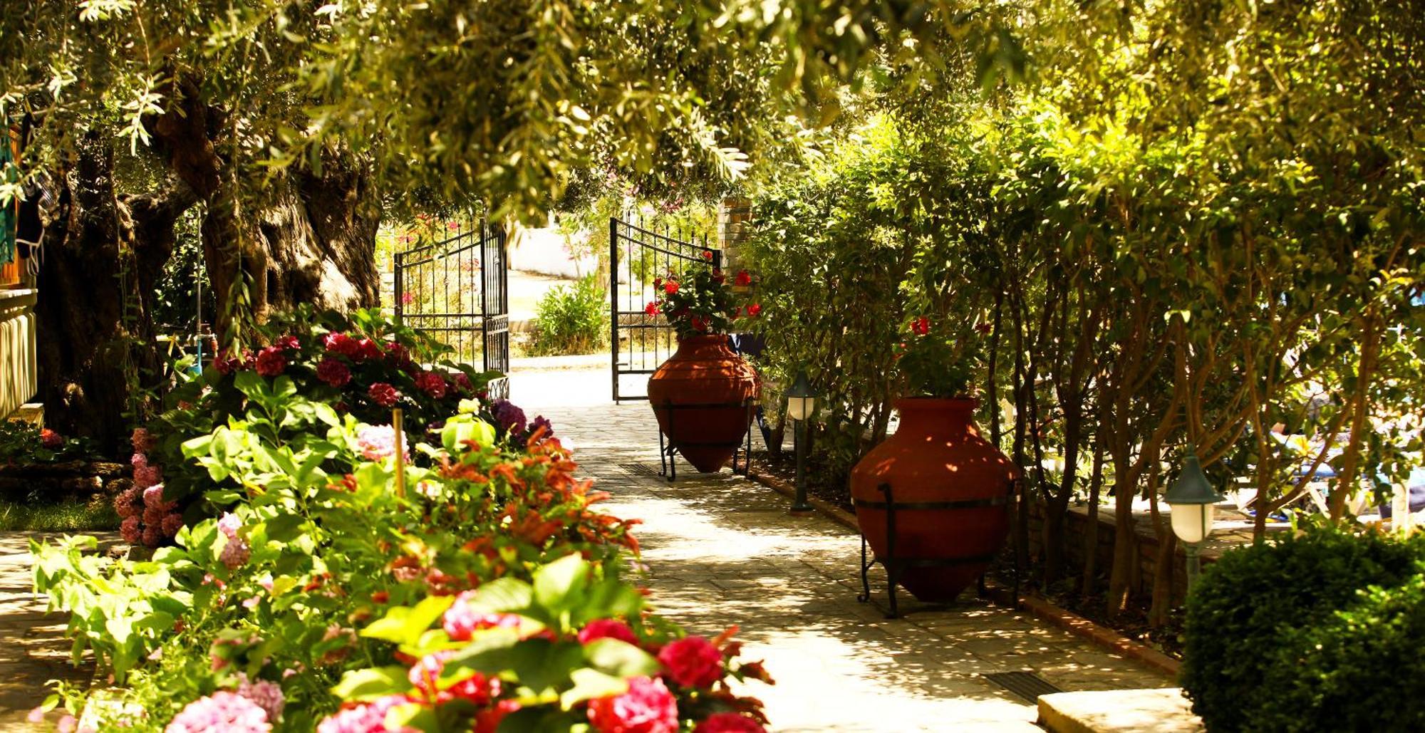 Hotel Thetis Limenas (Thasos) Exterior foto
