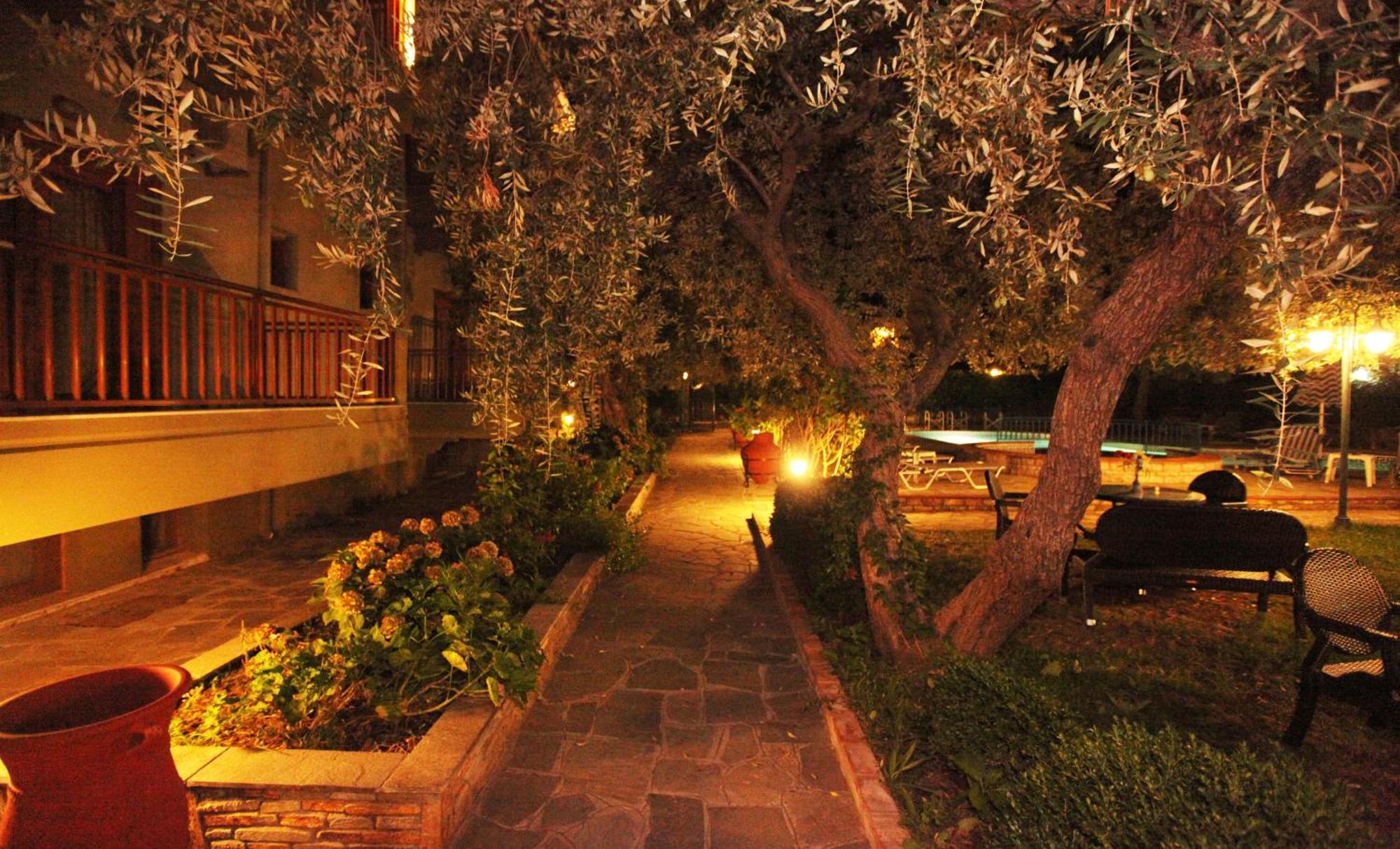 Hotel Thetis Limenas (Thasos) Exterior foto