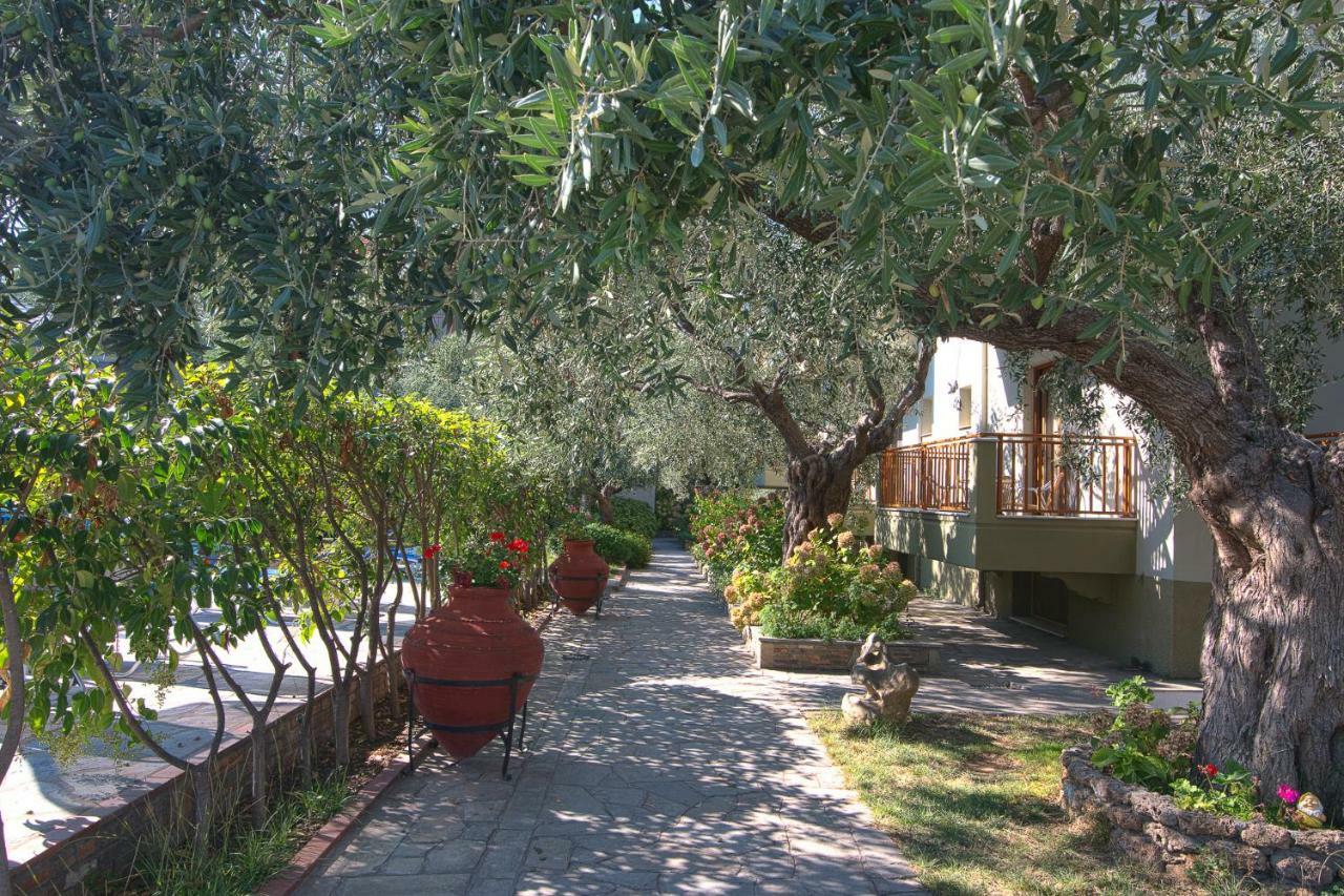 Hotel Thetis Limenas (Thasos) Exterior foto